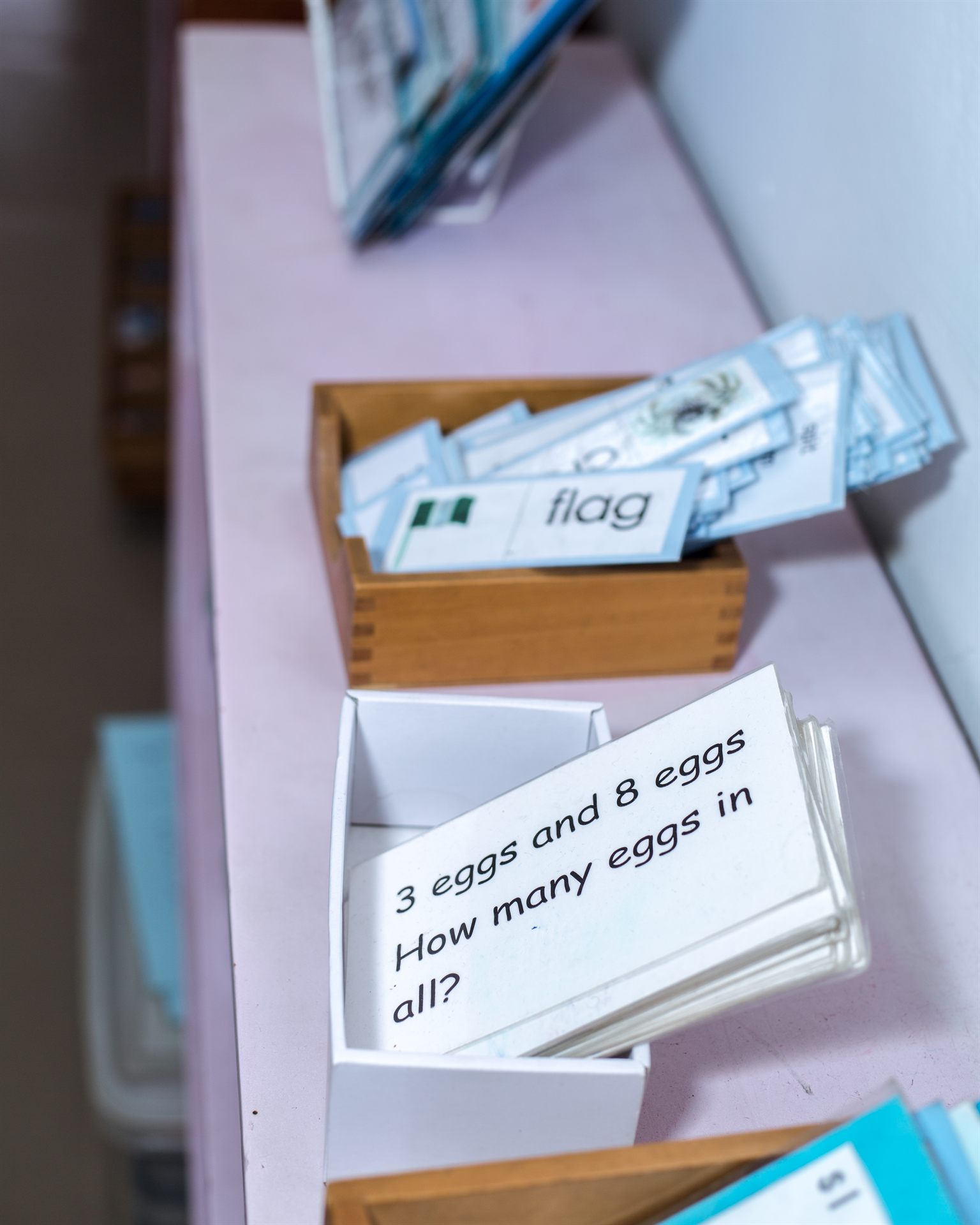 Montessori nomenclature cards detail